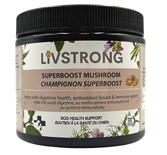 SuperBoost Mushroom Dog Health Support