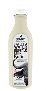 Raw Water Buffalo Milk Kefir