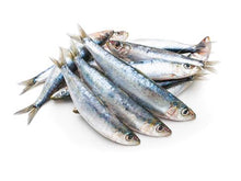 Load image into Gallery viewer, Frozen Sardines (1lb)
